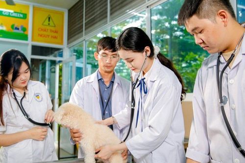 Liêm chính khoa học