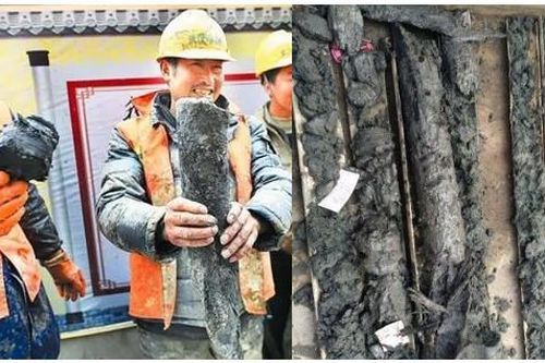 Đội công nhân vô tình thấy gỗ quý dài gần 2m, chuyên gia nhận định là 'bảo vật' hiếm có khó tìm