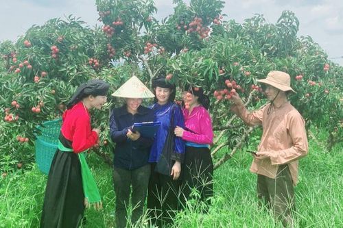 Nỗ lực xóa bỏ tư tưởng trọng nam khinh nữ trong người cao tuổi vùng đồng bào dân tộc thiểu số