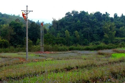 Lâm Đồng: Tập trung nguồn lực phát triển lưới điện nông thôn