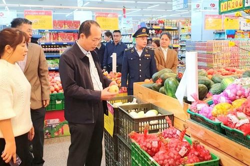Thừa Thiên Huế hỗ trợ doanh nghiệp xúc tiến thương mại, kích cầu nội địa