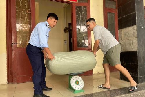 Cao Bằng: Thu giữ hơn 1 tạ giun đất đã sấy khô