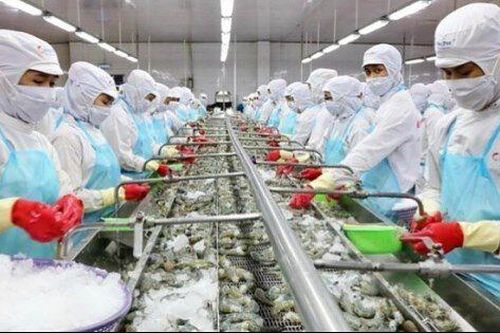 Sao Ta (FMC): Doanh thu tiếp tục sụt giảm, chờ đợi cơ hội bứt phá dịp cuối năm