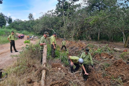 Nhanh chóng xử lý 16 vụ lấn chiếm, vi phạm xây dựng trên đất rừng