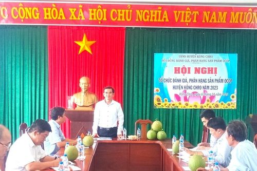 Kông Chro đánh giá, phân hạng sản phẩm OCOP năm 2023