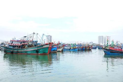 An toàn ra khơi mùa mưa bão