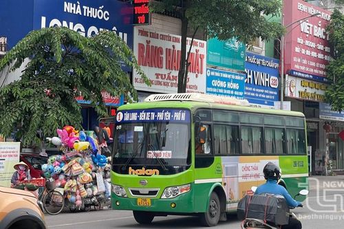 51 phương tiện bị đình chỉ khai thác vận tải hành khách cố định