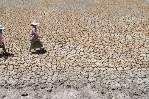 UNEP: Tiến trình thích ứng với biến đổi khí hậu đang bị đình trệ