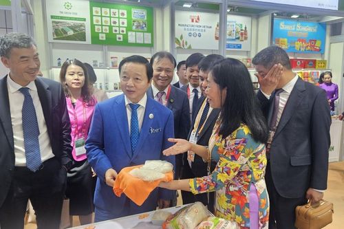 Quảng bá thương hiệu và hình ảnh doanh nghiệp Việt Nam tới Trung Quốc và các nước trên thế giới