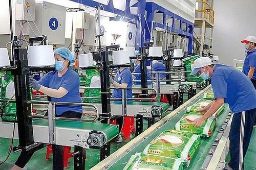 Cổ phiếu TAR tiếp tục lao dốc dù công ty lãi trong quý 3