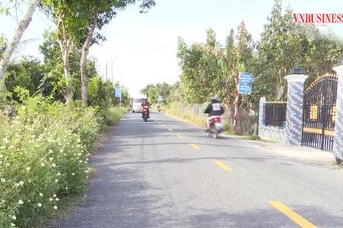 Nông thôn mới bứt lên cùng các HTX kiểu mới tại Đồng Tháp