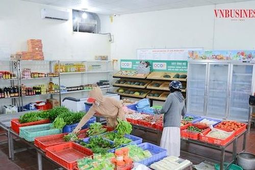 Mô hình trồng rau an toàn mang lại hiệu quả kinh tế cao cho người dân tại HTX Chúc Sơn