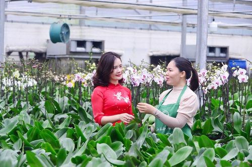 Để không lãng phí 'bờ xôi, ruộng mật': Cần đổi mới tư duy, nâng cao giá trị sản xuất
