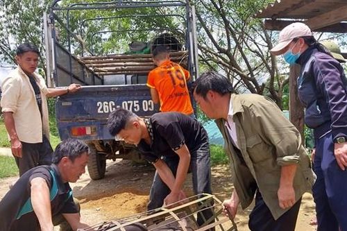 Tăng cường tuyên truyền về chính sách hỗ trợ sản xuất thuộc Chương trình MTQG 1719