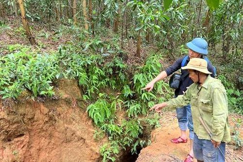 Quảng Ngãi: Người dân lo sợ sạt lở núi Cà Mon