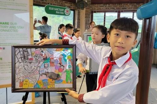 Lan tỏa tình yêu gấu thông qua những bức tranh