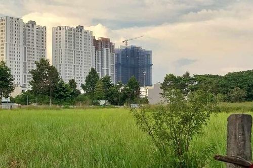 Dự án thuê đất 10 năm không triển khai