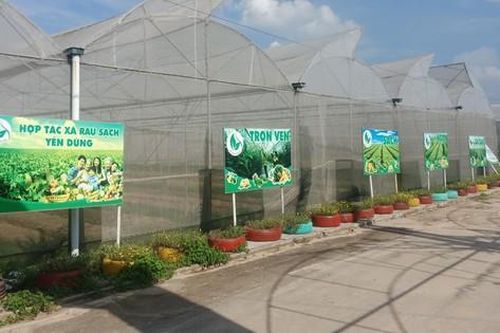 Tập trung nguồn lực phát triển sản phẩm OCOP, nông nghiệp công nghệ cao