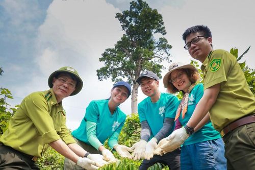 1 triệu ha rừng gỗ lớn để xuất khẩu