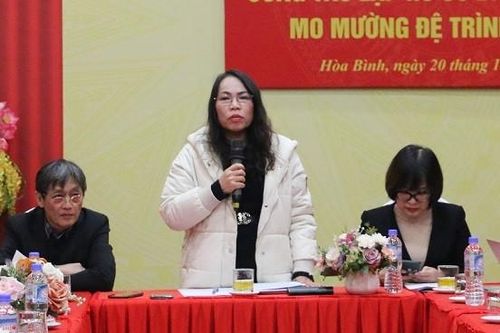 Lý do Giám đốc Sở VHTTDL Hòa Bình Bùi Thị Niềm xin nghỉ việc?