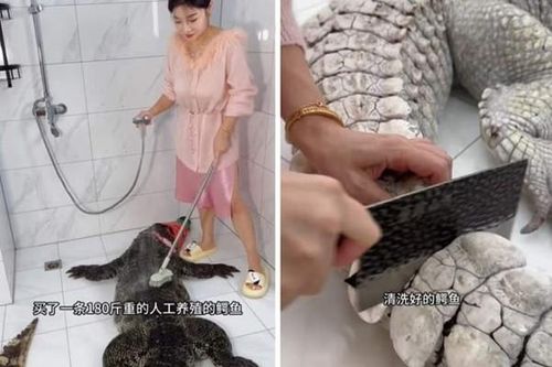 Nữ vlogger Trung Quốc hứng chỉ trích vì đăng video làm thịt cá sấu