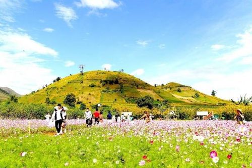 Nhiều hoạt động hấp dẫn tại Lễ hội hoa dã quỳ - núi lửa Chư Đang Ya (Gia Lai)