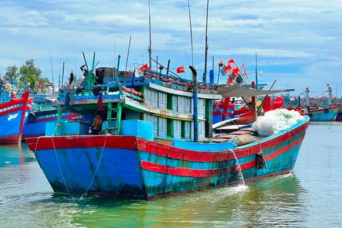 Chủ hai tàu cá ở Quảng Ngãi bị phạt hơn 3,1 tỷ đồng