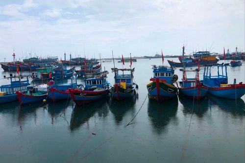 Quảng Ngãi: Một chủ tàu cá bị phạt hơn 3 tỷ đồng