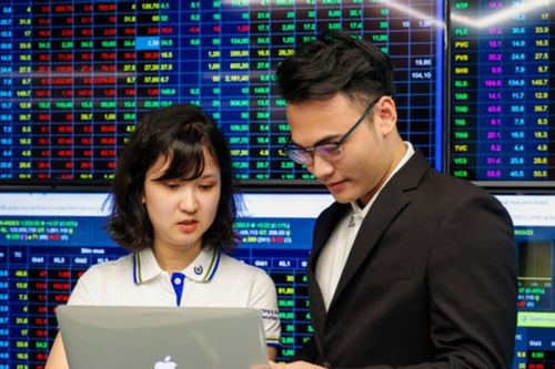 Bản tin kinh tế 7/11: Kiện toàn EVN; 380.000 tài khoản chứng khoán 'biến mất'