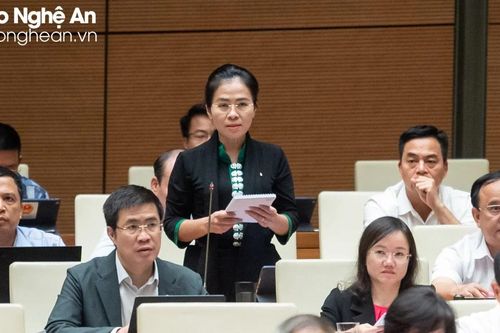 Đại biểu Võ Thị Minh Sinh chất vấn giải pháp 'chính thống hóa' fanpage của các tổ chức trong hệ thống chính trị
