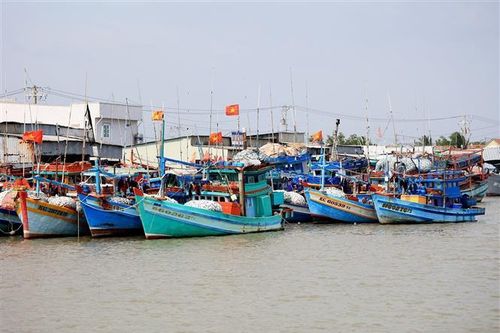 Quảng Trị kiến nghị gỡ vướng mắc đăng ký tàu cá, giám sát hành trình