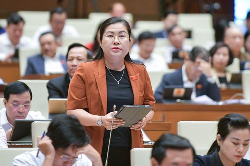 Bộ trưởng Bộ Giao thông vận tải: Vật liệu cát biển thí điểm đạt yêu cầu đắp đường