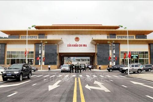 Nhập khẩu dược liệu qua cửa khẩu Chi Ma: Hai năm thí điểm chỉ nhập được 1 lô hàng