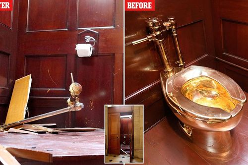Anh xét xử đối tượng đánh cắp bồn cầu bằng vàng