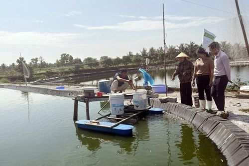 Quảng Ninh: Rà soát phân bổ 250 tỷ đồng cho vay hỗ trợ tạo việc làm