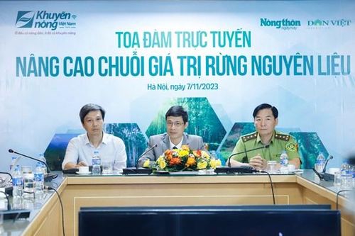 Hình thành vùng trồng gỗ lớn nâng cao chuỗi giá trị rừng nguyên liệu