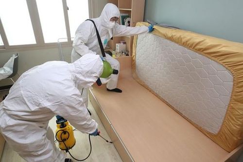 Kinh dị nạn rệp giường tại Hàn Quốc: Rệp 'tiến hóa' tới mức dìm vào chai thuốc diệt côn trùng vẫn sống nhăn