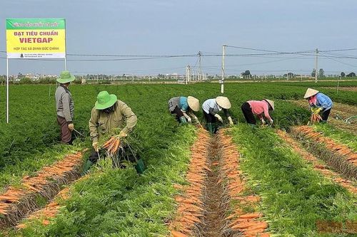Hải Dương: Đẩy mạnh chuyển đổi số trong xây dựng nông thôn mới