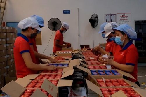 Doanh nghiệp vào mùa sản xuất hàng Tết
