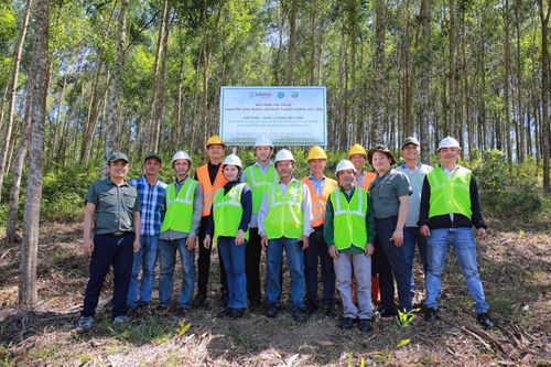 Phấn đấu có 1 triệu ha rừng trồng cây gỗ lớn vào năm 2030
