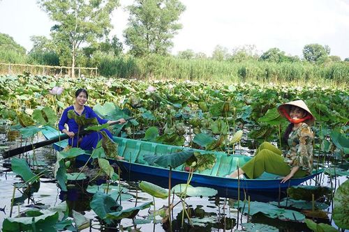 Khôi phục và tiếp tục phát triển lĩnh vực du lịch