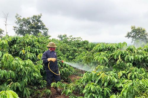 Thuốc bảo vệ thực vật sinh học: Lựa chọn thông minh