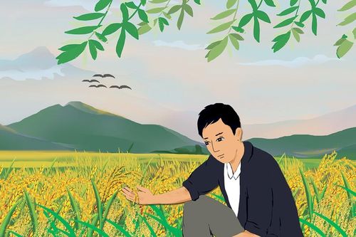 Mùa vàng dưới thung