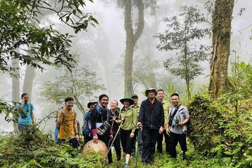 Trải nghiệm đường đá cổ Pavie