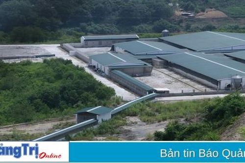 41/42 trang trại được kiểm tra không đảm bảo điều kiện chăn nuôi