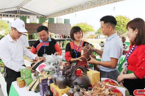 Kết nối, hỗ trợ hợp tác phát triển SXKD