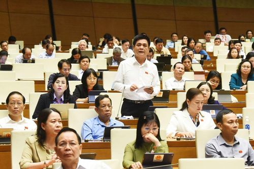 Kỳ họp thứ 6, Quốc hội khóa XV: Nhiều hạn chế trong quản lý, sử dụng đất ở các công ty nông, lâm nghiệp