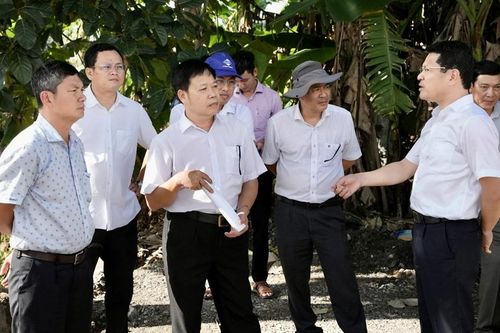 Tiến độ dự án Chương trình phát triển các đô thị loại II: Chấn chỉnh các đơn vị chưa làm hết trách nhiệm