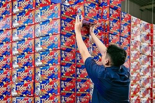 Tiger Beer ra mắt sản phẩm Tiger lon cao mới