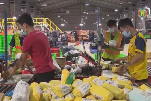 Việt Nam tăng trưởng kinh tế số nhanh nhất khu vực